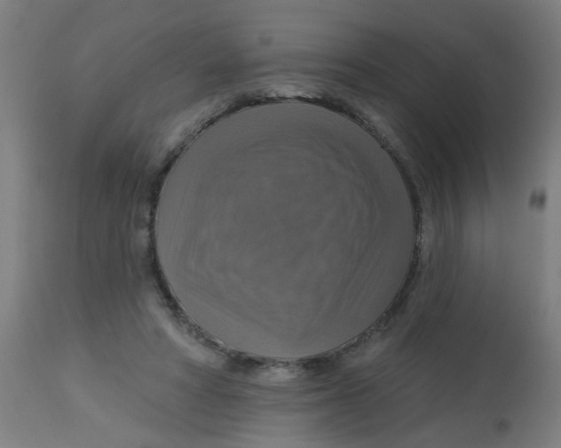 X0000113230402200910081411