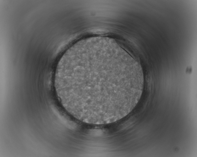 X0000113230404200910081410