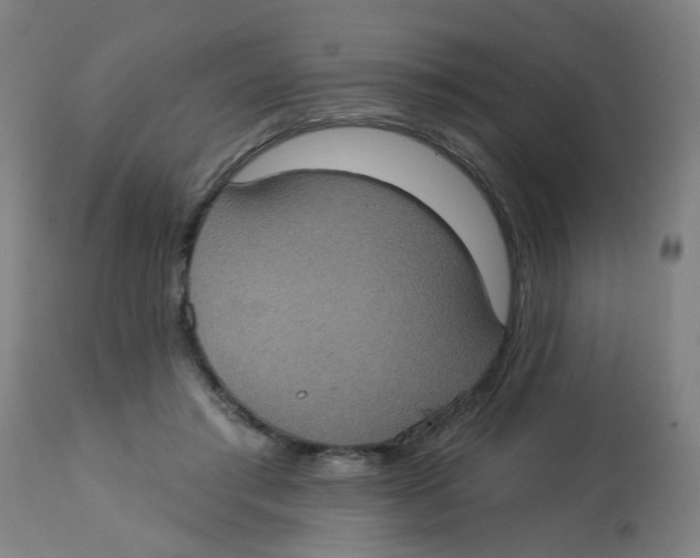 X0000113230405200910081410