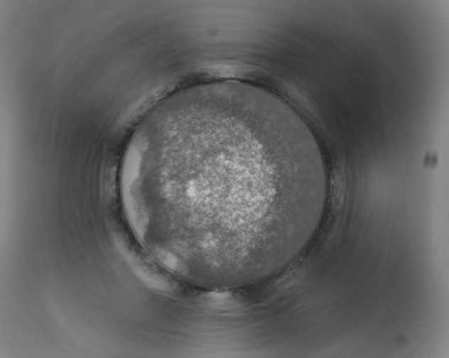 X0000113230406200910081410