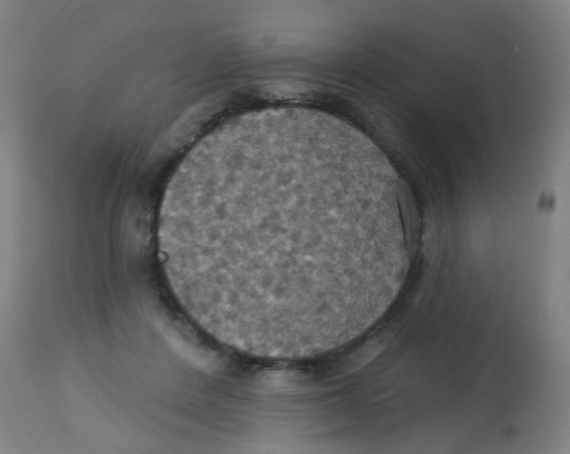 X0000113230408200910081410