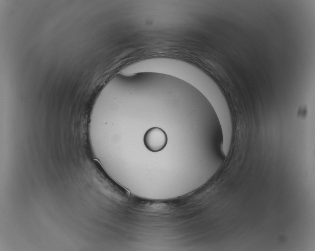 X0000113230409200910081410