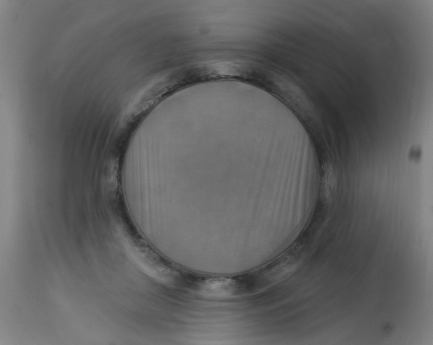 X0000113230410200910081410