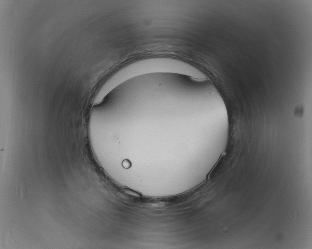 X0000113230411200910081410