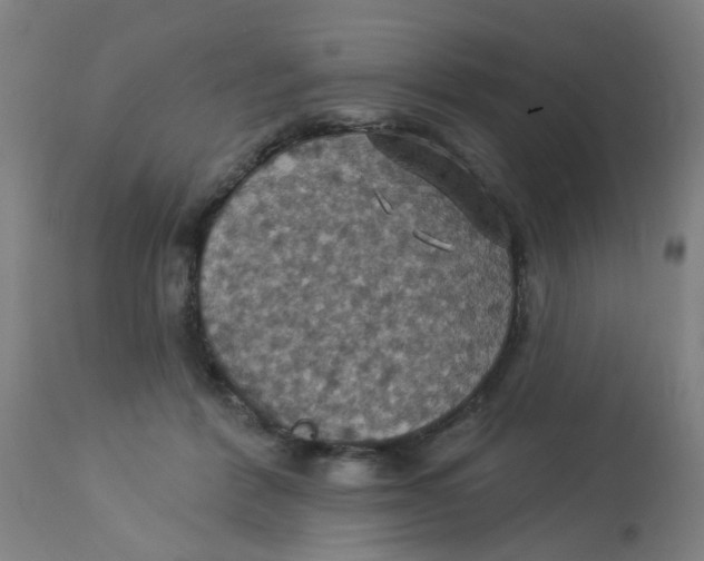 X0000113230412200910081410