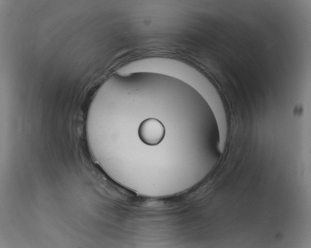 X0000113230413200910081410