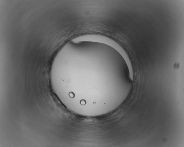 X0000113230415200910081410