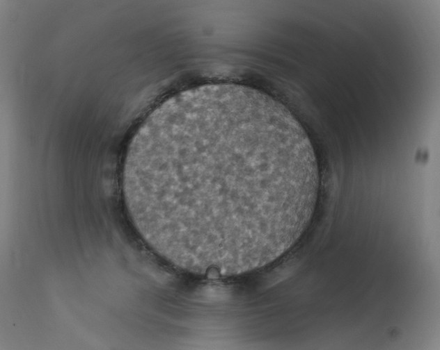 X0000113230416200910081410