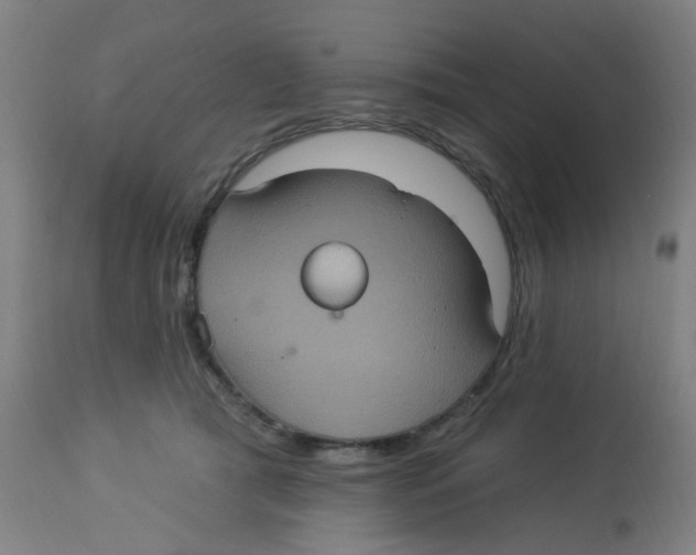 X0000113230417200910081410