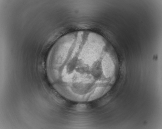 X0000113230418200910081410