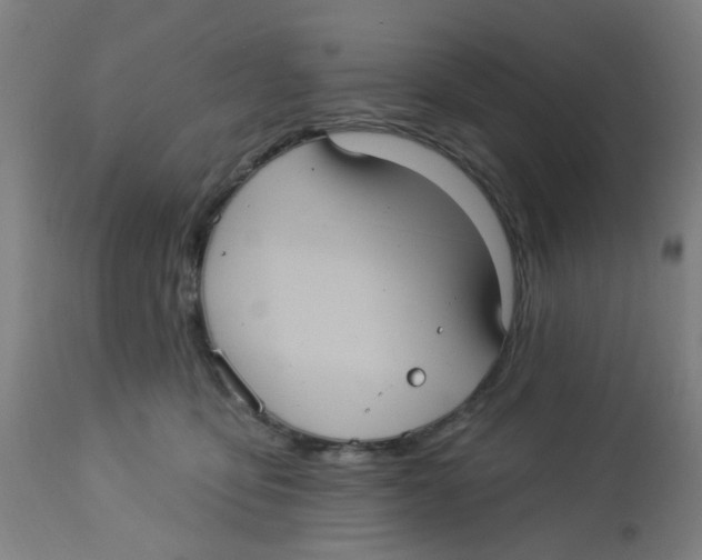 X0000113230419200910081410