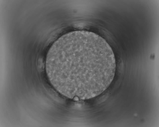 X0000113230420200910081410