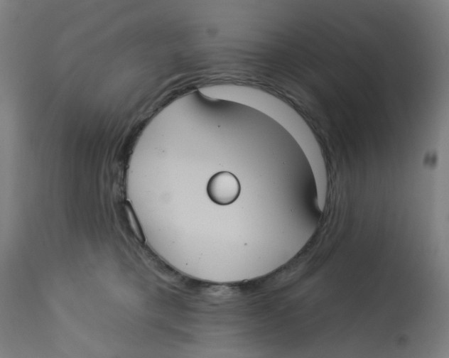 X0000113230421200910081410