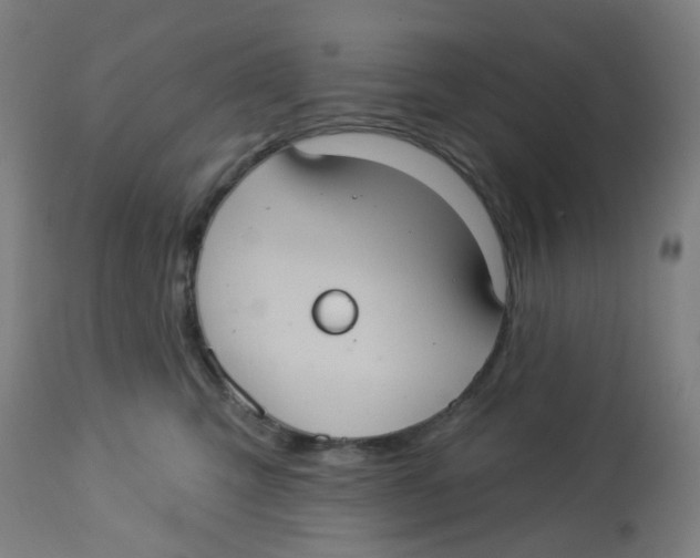 X0000113230423200910081410