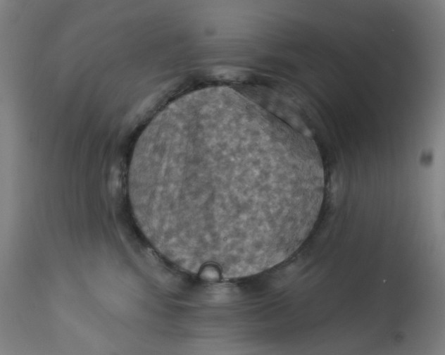 X0000113230424200910081410