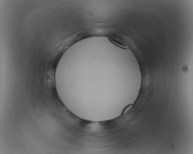 X0000113230425200910081410