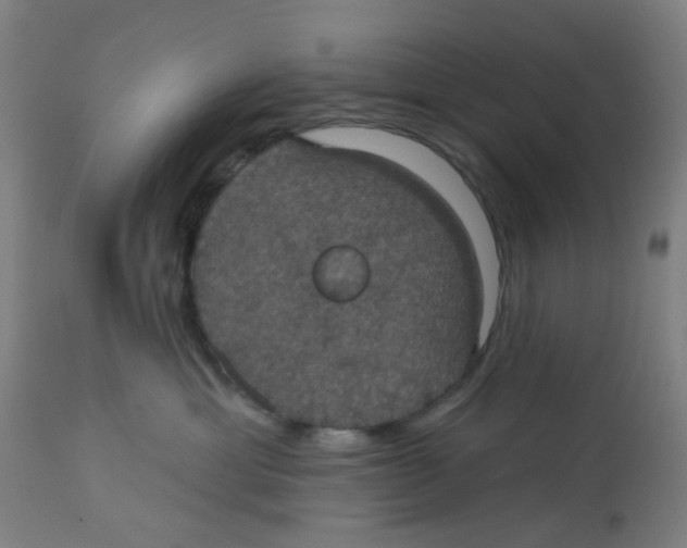 X0000113230429200910081410