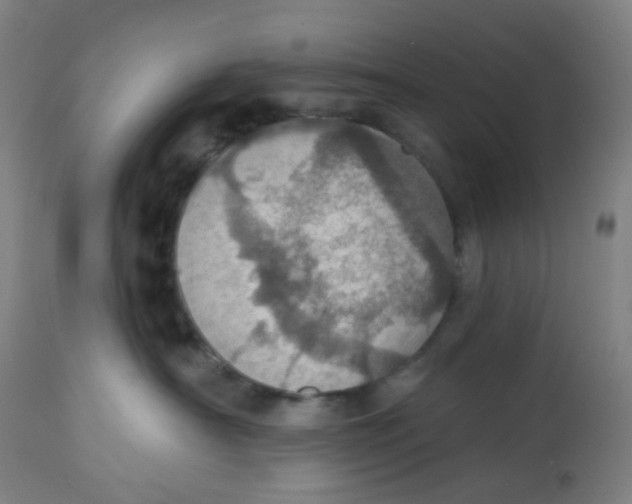 X0000113230430200910081410