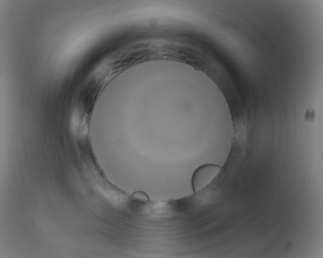 X0000113230431200910081410