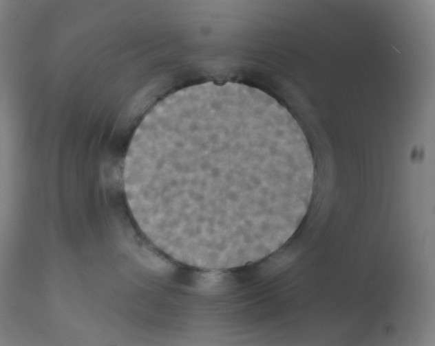 X0000113230432200910081410