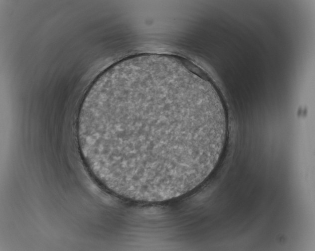 X0000113230433200910081409