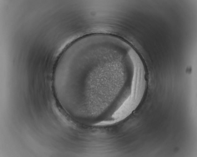 X0000113230434200910081409