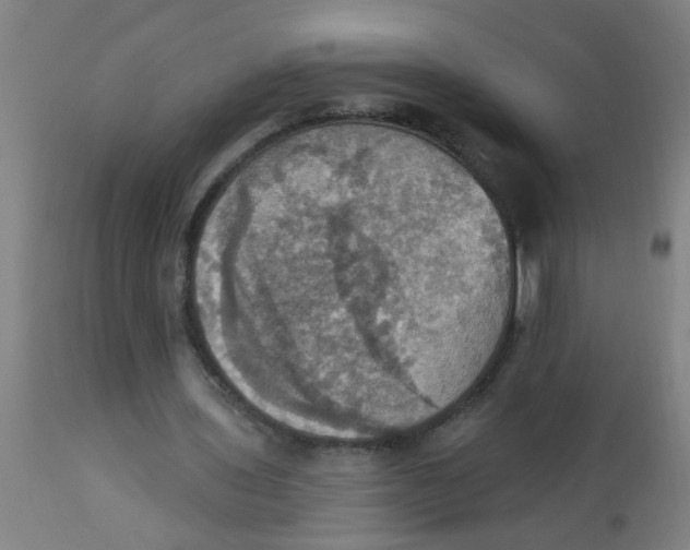 X0000113230435200910081409