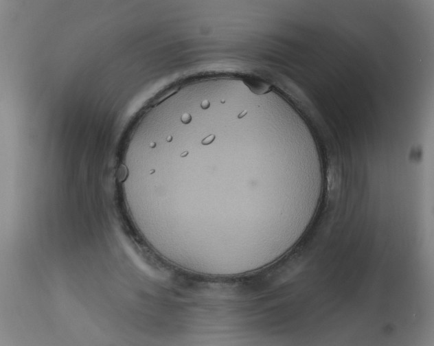 X0000113230436200910081409