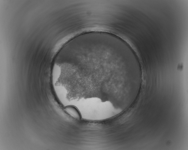 X0000113230437200910081409