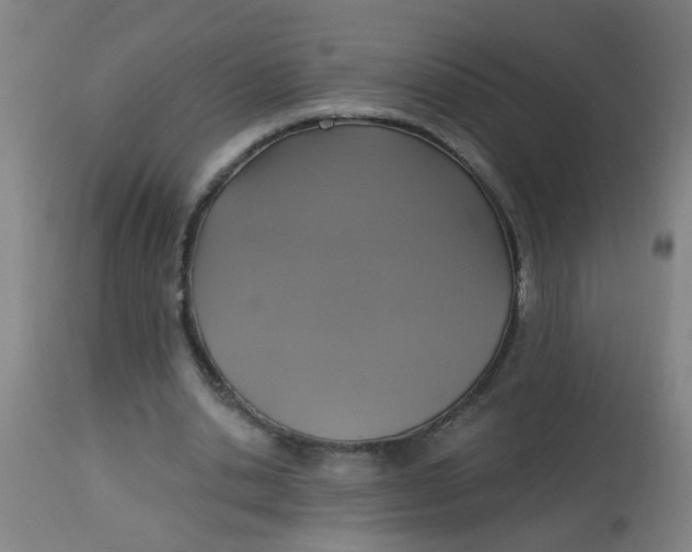 X0000113230438200910081409