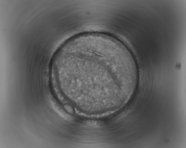 X0000113230439200910081409