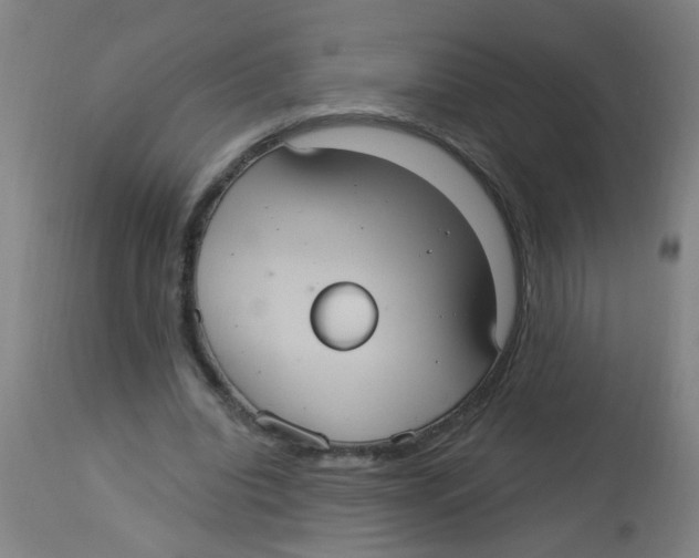 X0000113230440200910081409