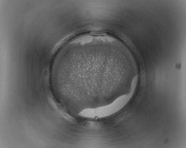 X0000113230442200910081409