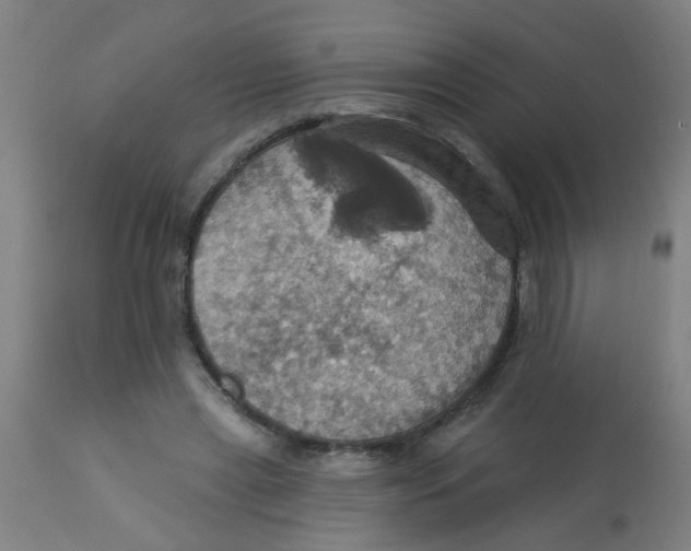 X0000113230445200910081409