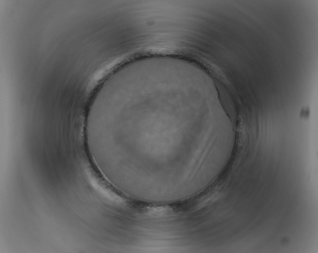 X0000113230446200910081409