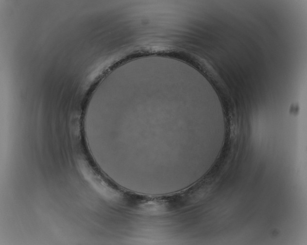 X0000113230447200910081409