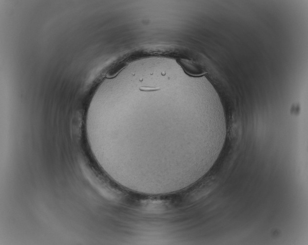 X0000113230448200910081409