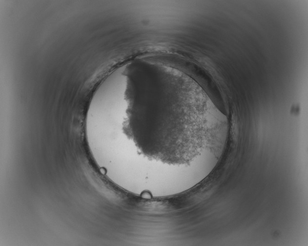 X0000113230449200910081409