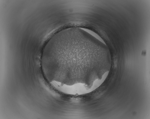 X0000113230450200910081409