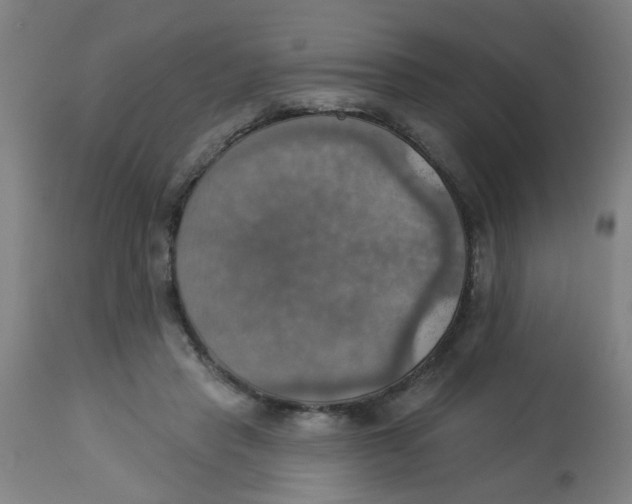 X0000113230453200910081409