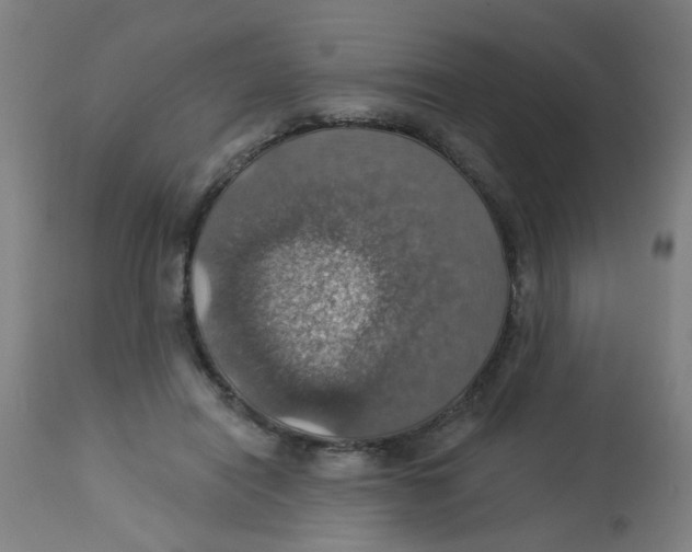 X0000113230454200910081409