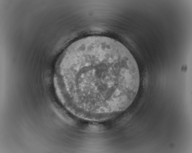 X0000113230455200910081409