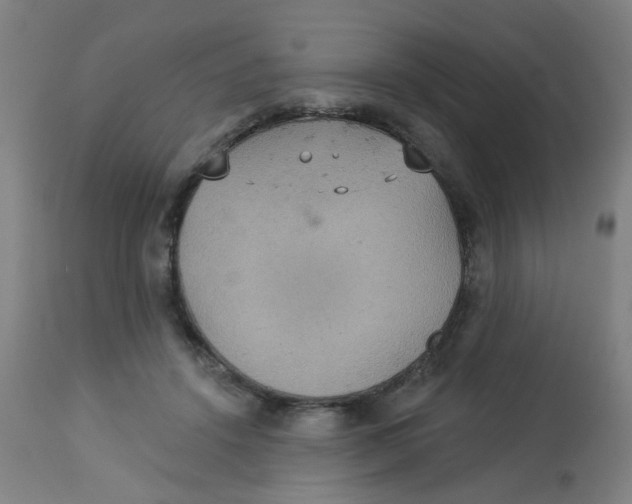 X0000113230456200910081409