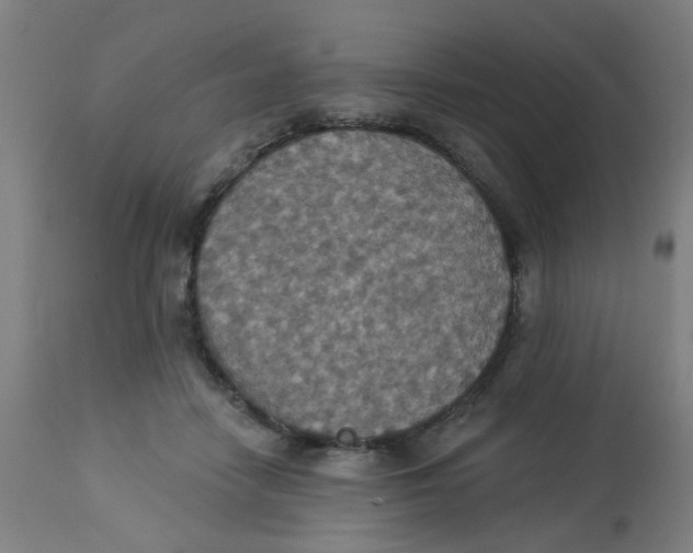 X0000113230458200910081409