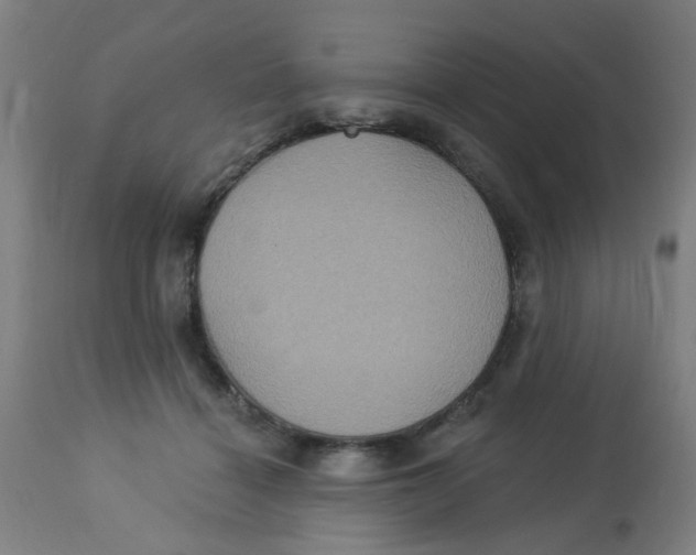 X0000113230460200910081409