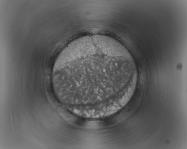 X0000113230461200910081409