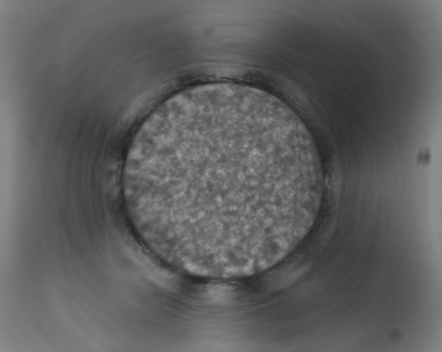 X0000113230462200910081409