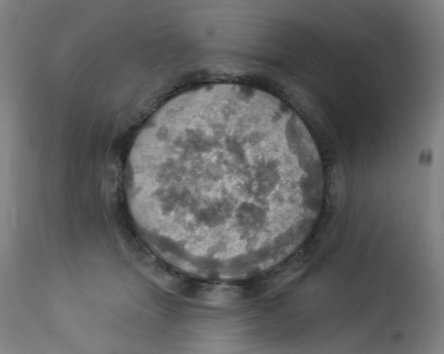 X0000113230463200910081409