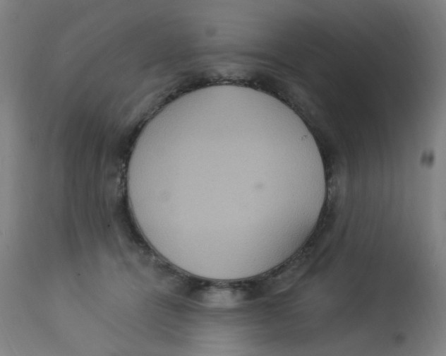 X0000113230464200910081409