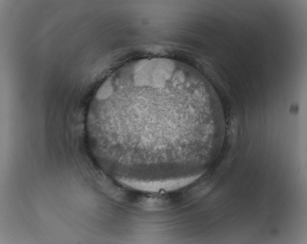 X0000113230466200910081409